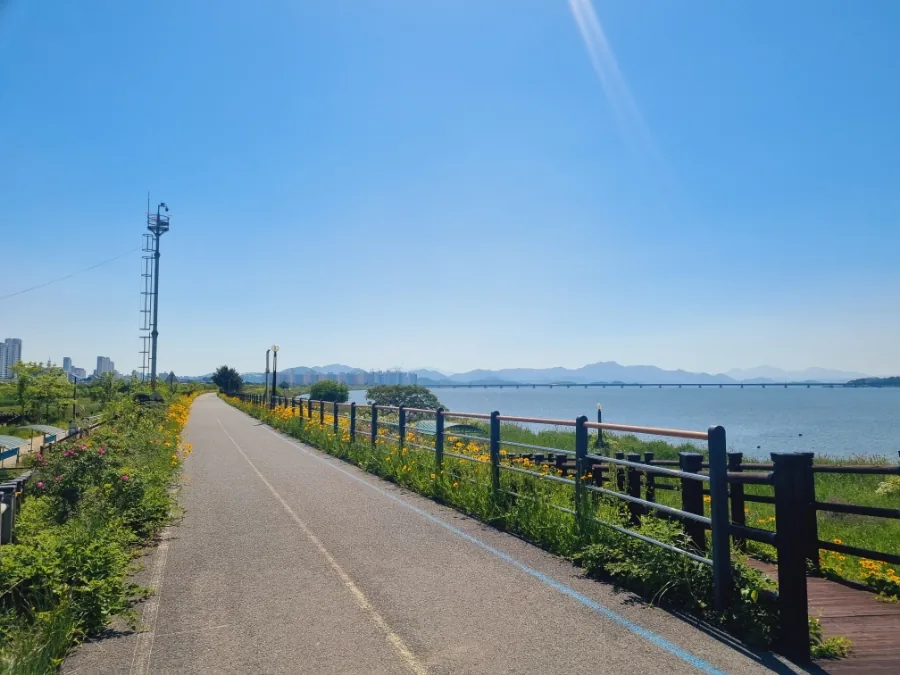 The riverside path running level between wildflowers and the water, mountains on the far bank