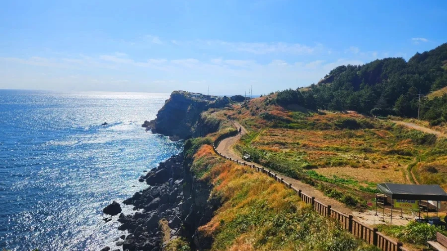 A railed path running ahead along the top of a sea cliff, the water open on one side and the way disappearing round the headland