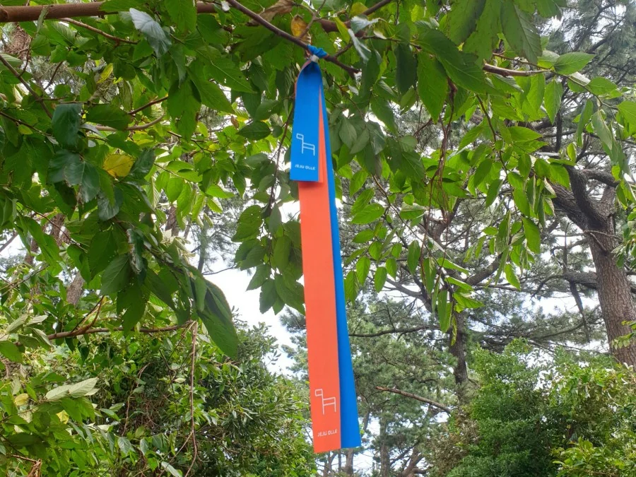 Blue and orange ribbons knotted together on a branch beside the path