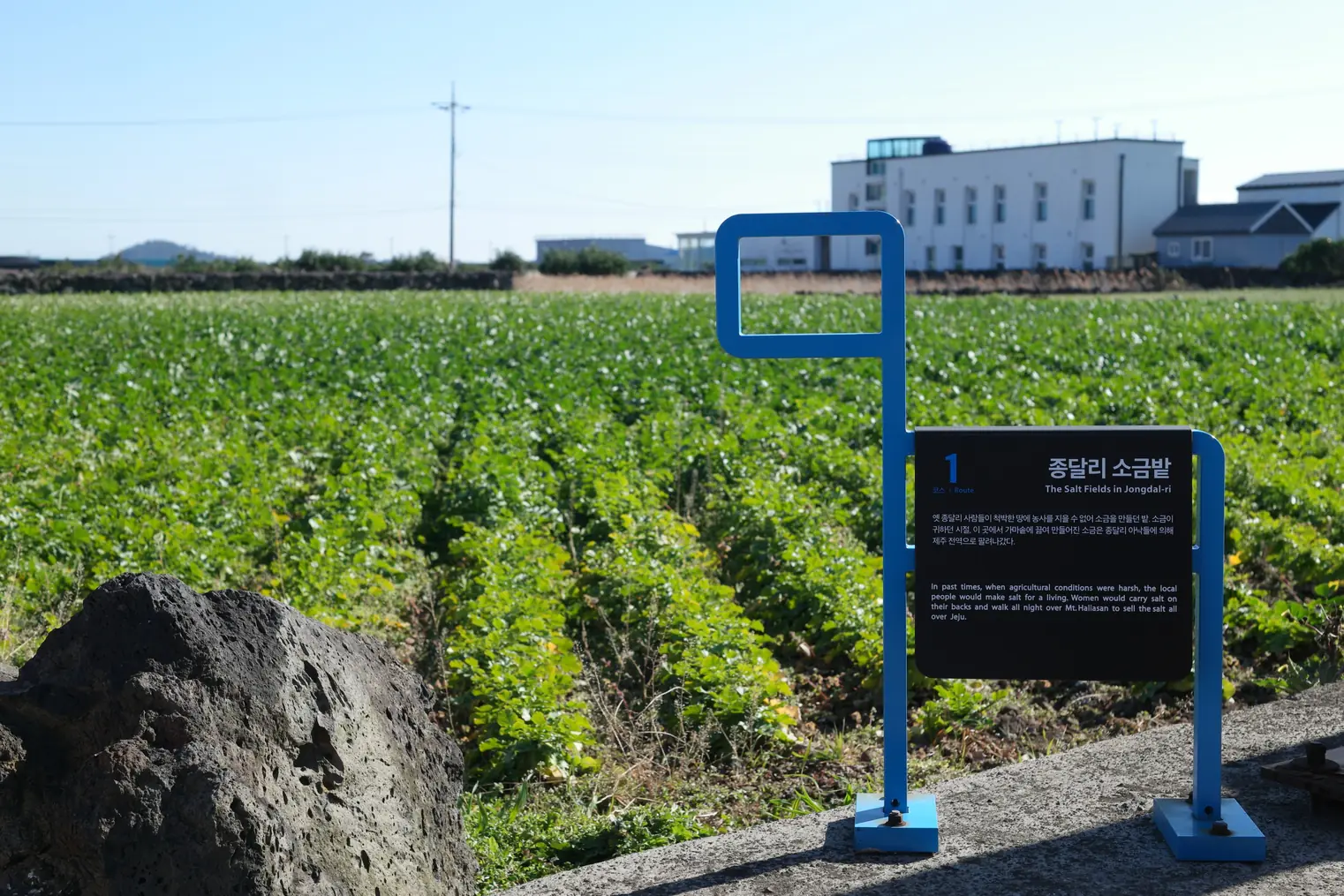 A blue Olle trail marker standing beside the signboard at the old salt fields in Jongdal-ri
