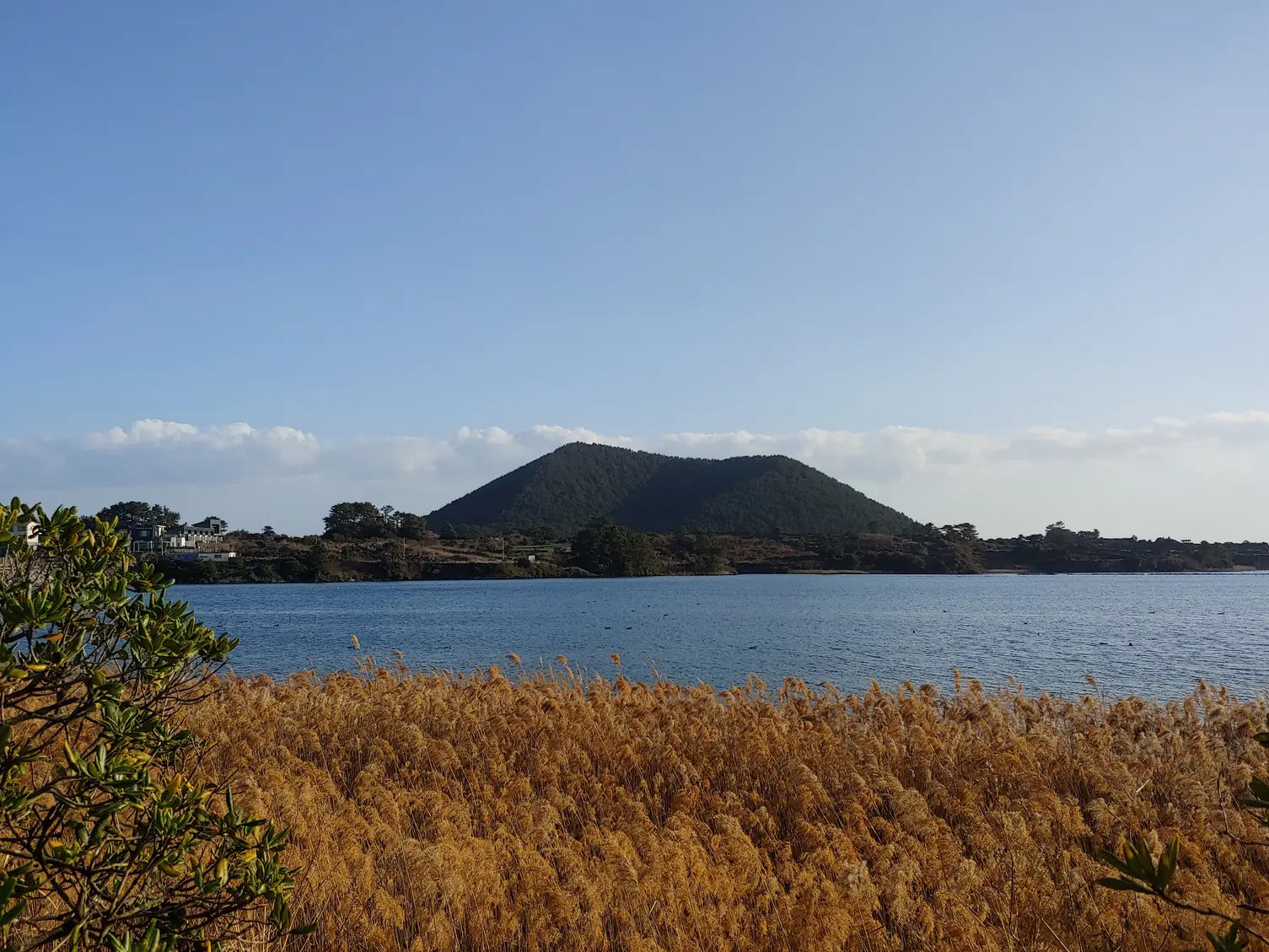 Dry reed beds along the water with a low wooded cone rising behind