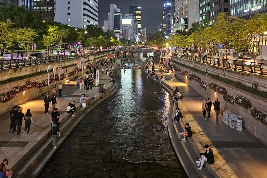 Seoul City Group Tour Experience