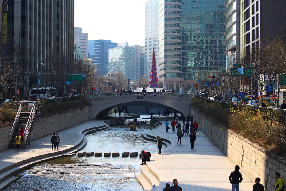 서울 시티 라인