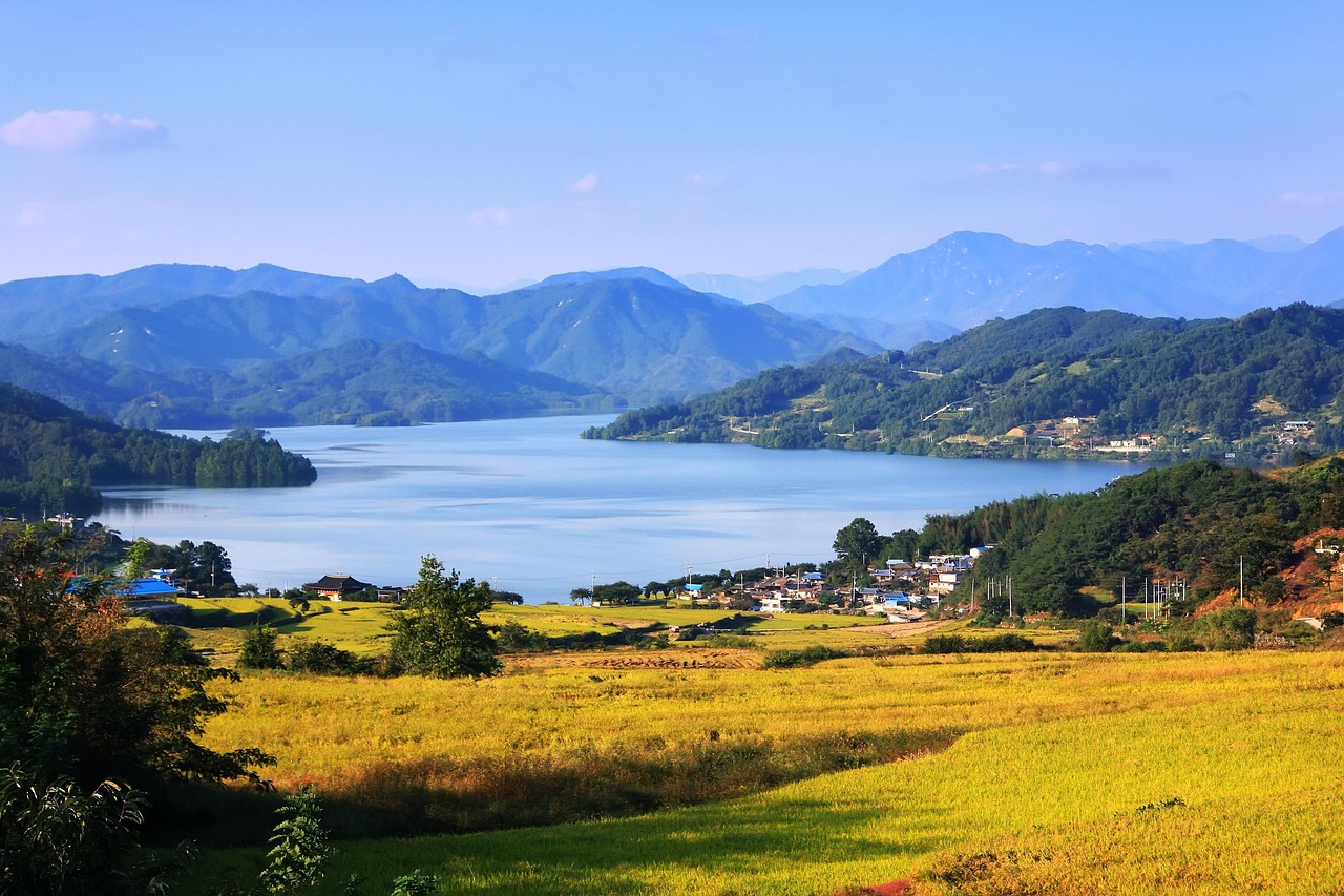 Bosque de bambúes exuberante