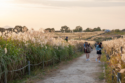 Image de Consultation de Voyage