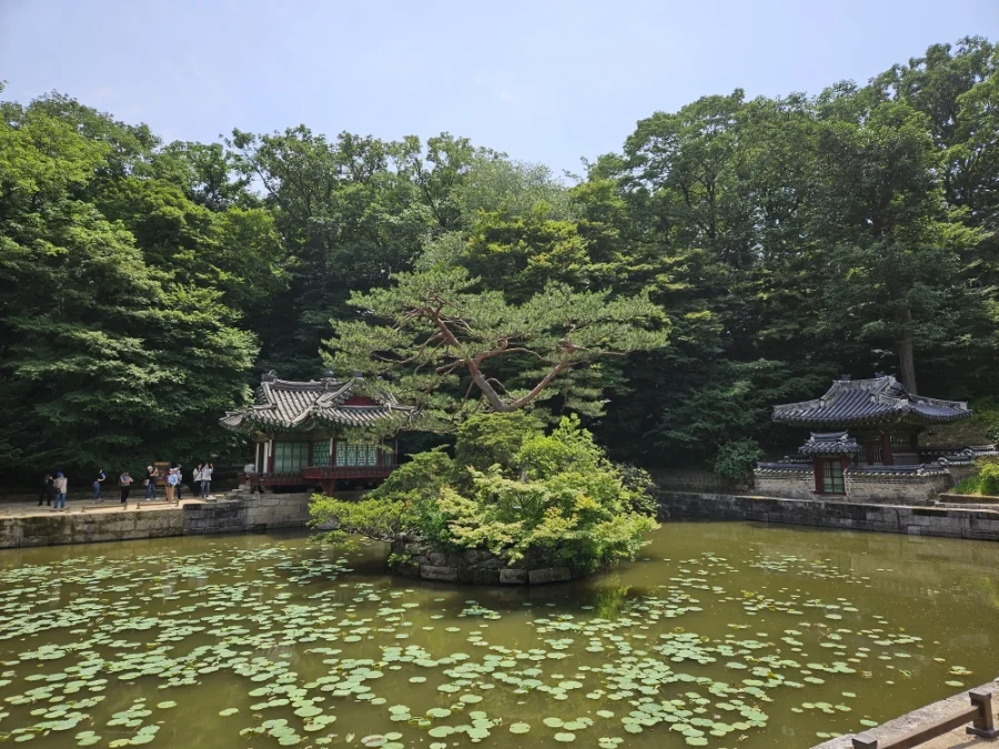 Buyongji pond in Changdeokgung Secret Garden