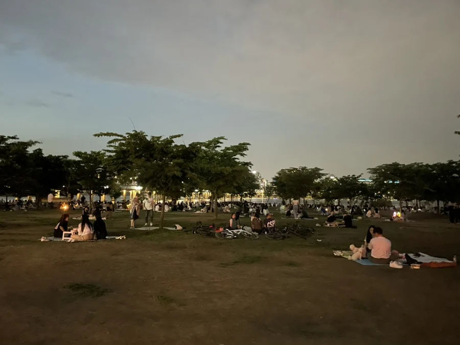 Evening picnic on the grass by the Han River