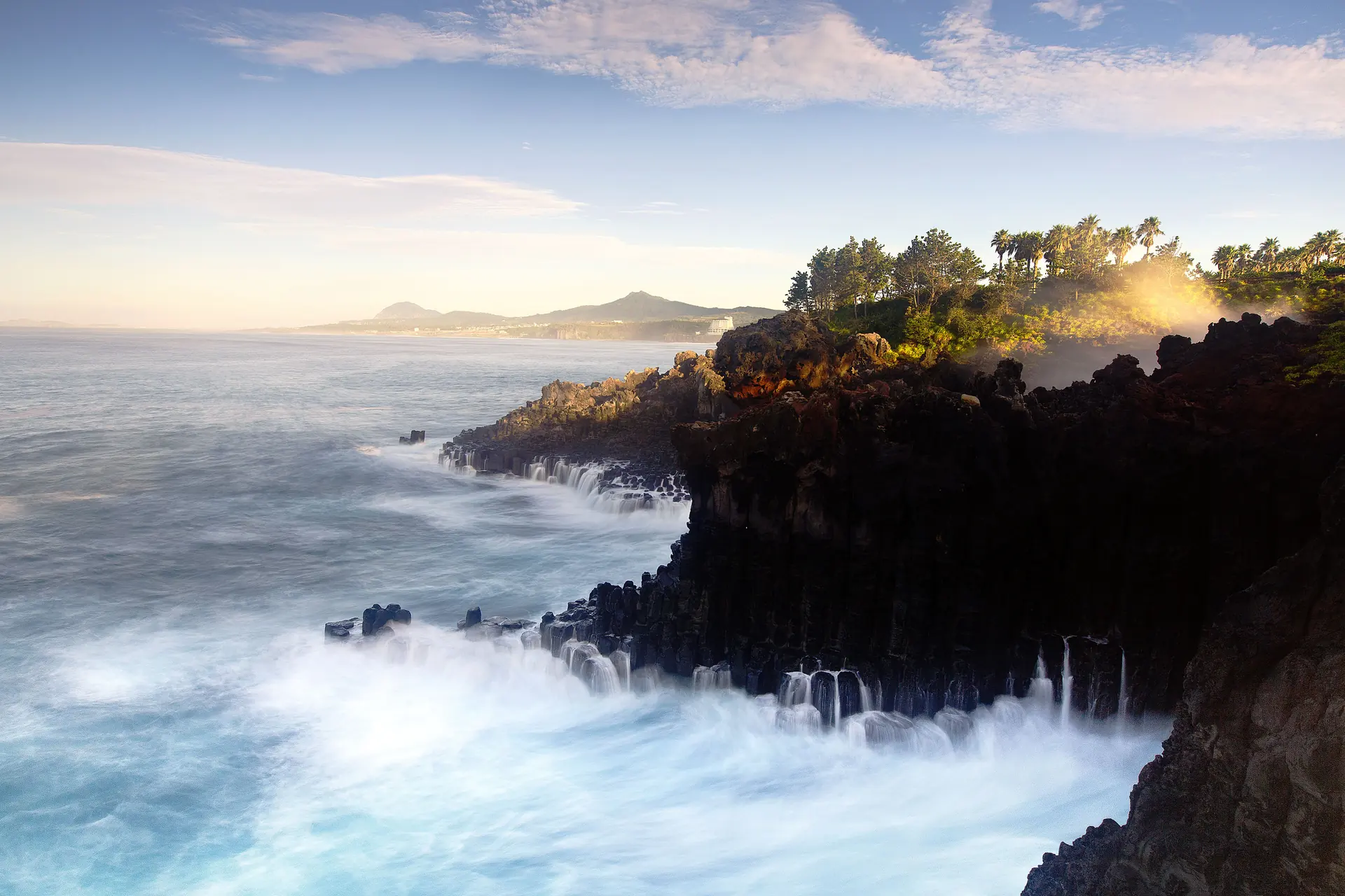 Columnar basalt cliff at Jusangjeolli meeting white surf, with palms along the clifftop