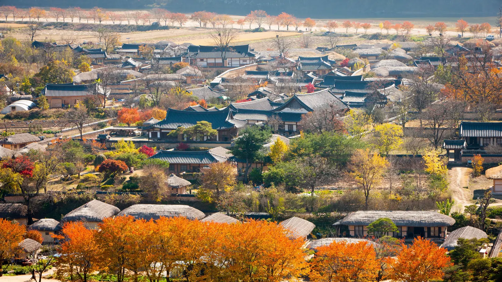 Thatched and tiled village roofs seen from above with autumn trees among the houses