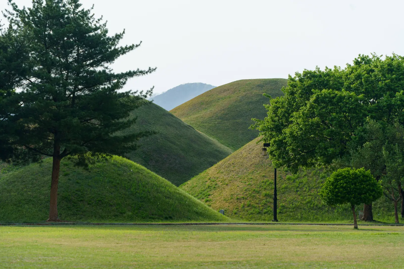 Grass-covered burial mounds rising behind pine trees
