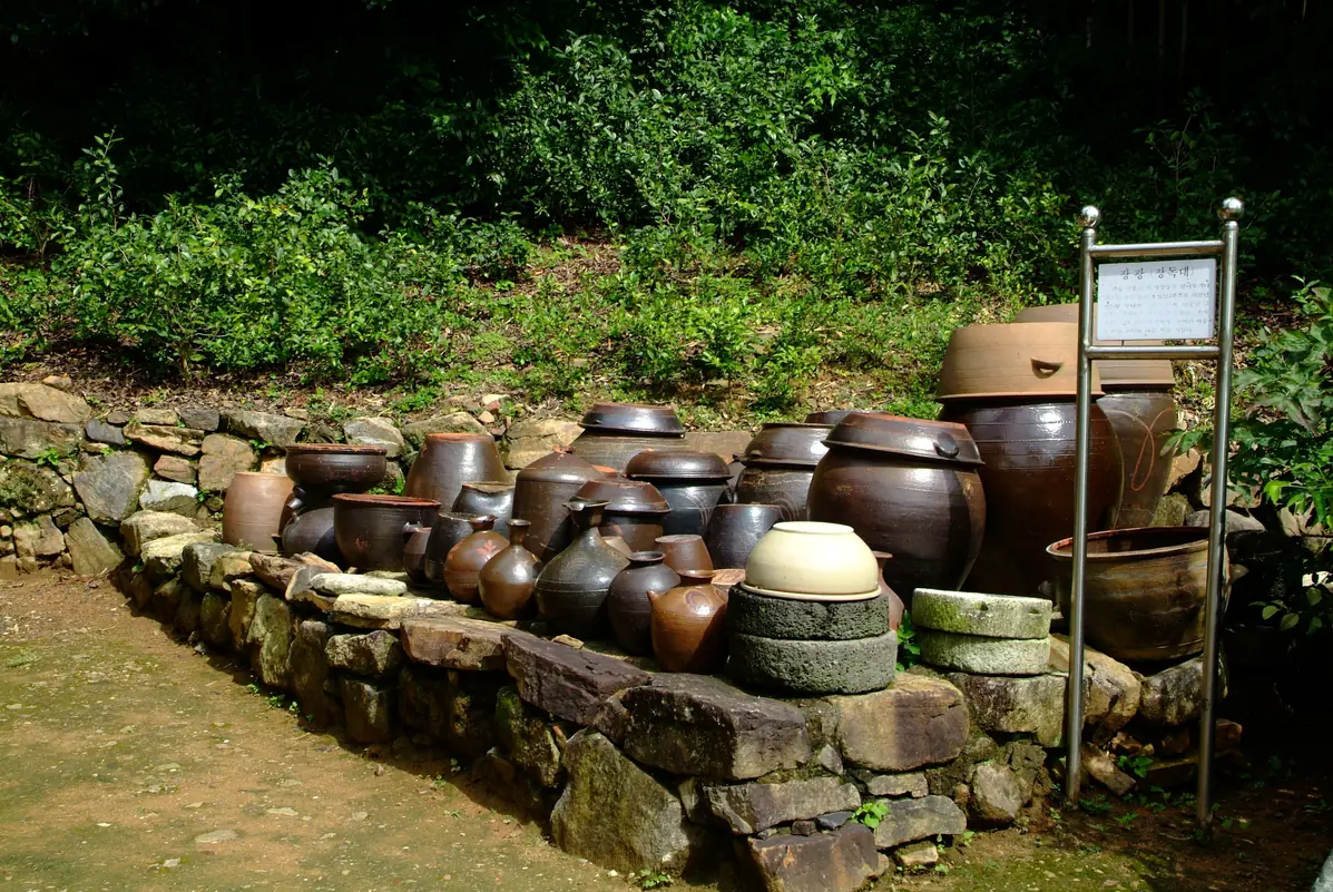 Rows of brown earthenware jars on bare ground in front of a stone wall
