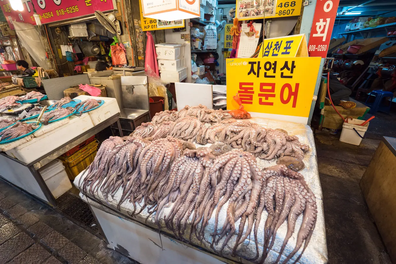 More than twenty octopus laid out on a market counter under a red sign