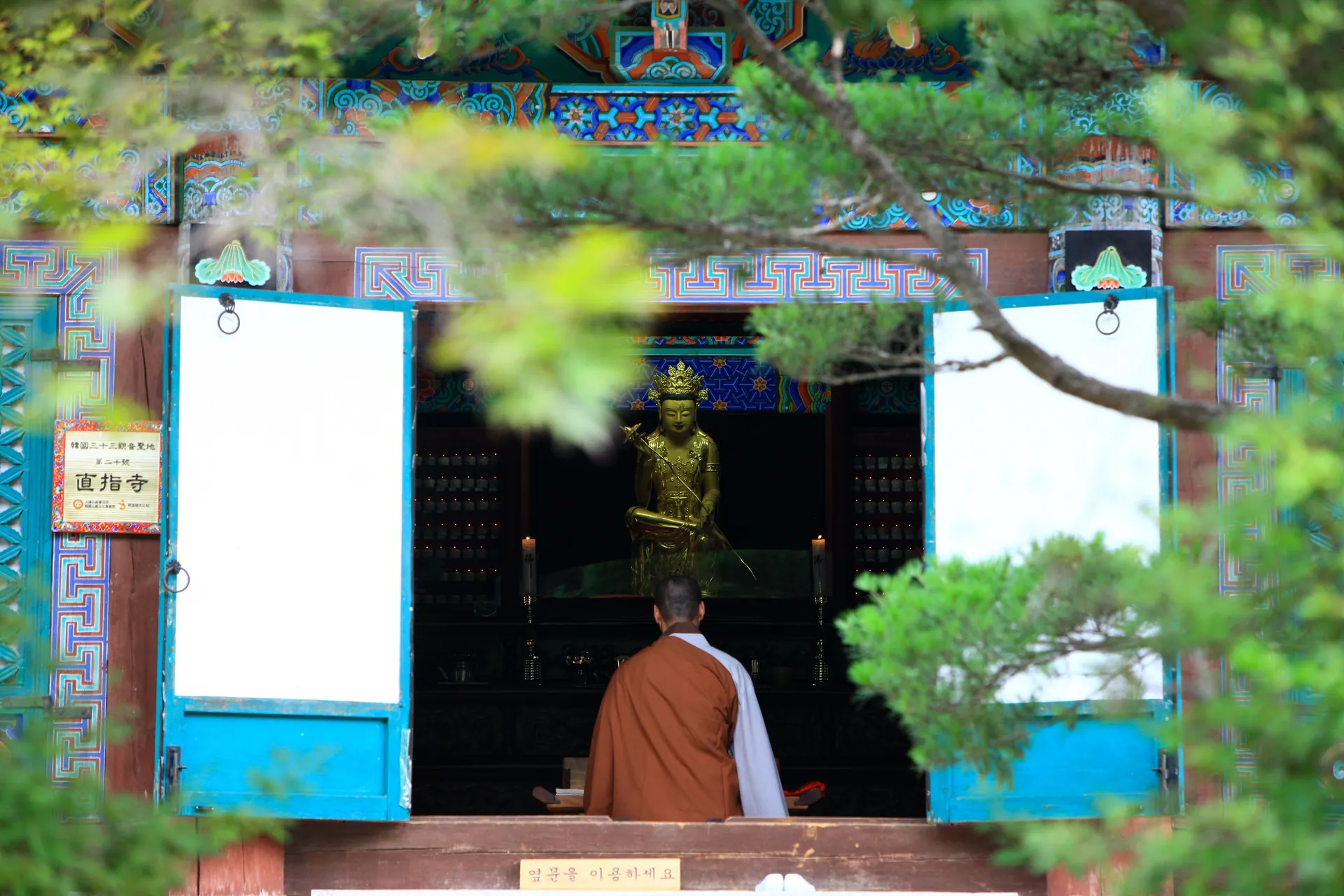 A gilded standing statue seen through open temple doors, framed by pine branches