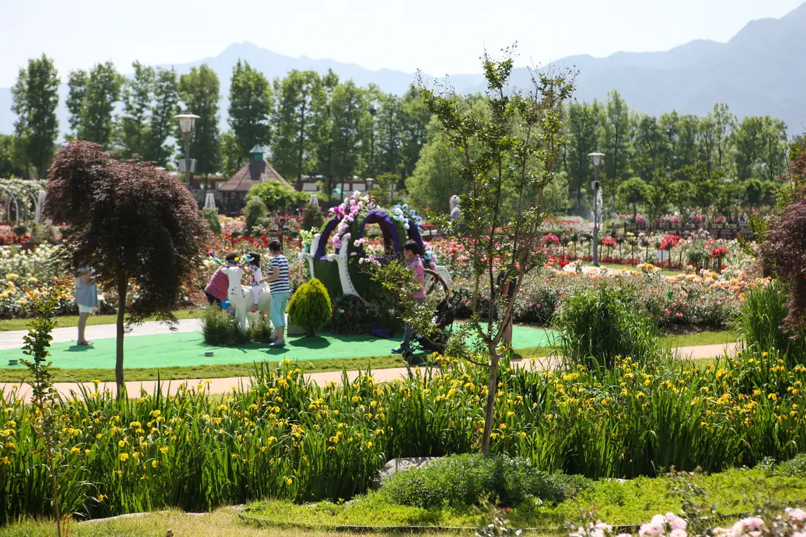 A small group beside a flower arch in a rose garden with beds of blooms on both sides