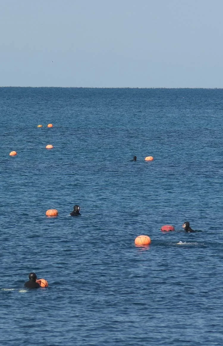 Haenyeo divers at work off the coast