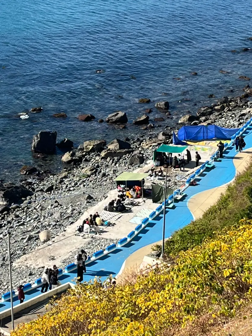 The haenyeo village on the shore at Yeongdo