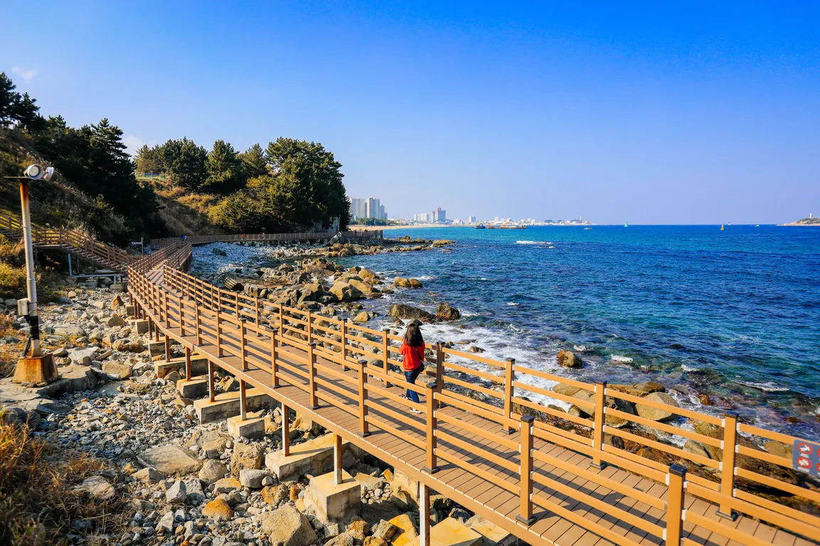A timber boardwalk following a rocky shoreline above clear blue water, with a distant town along the coast