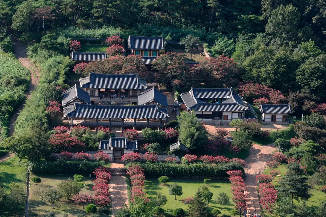 Tiled-roof buildings on stepped terraces seen from above, surrounded by woodland and pink blossom