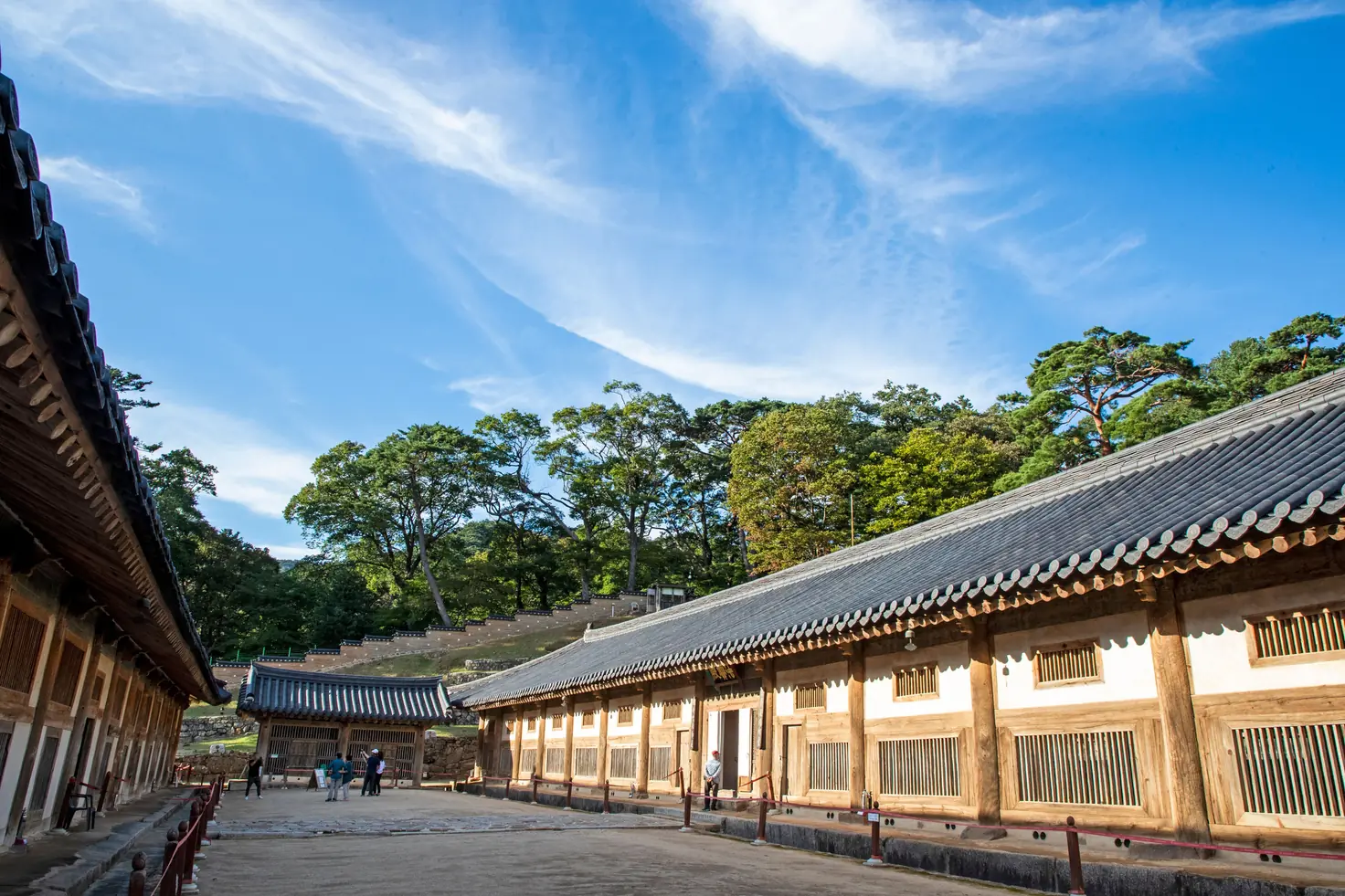 Tiled roofs of two timber halls with latticed walls, trees and open sky between them