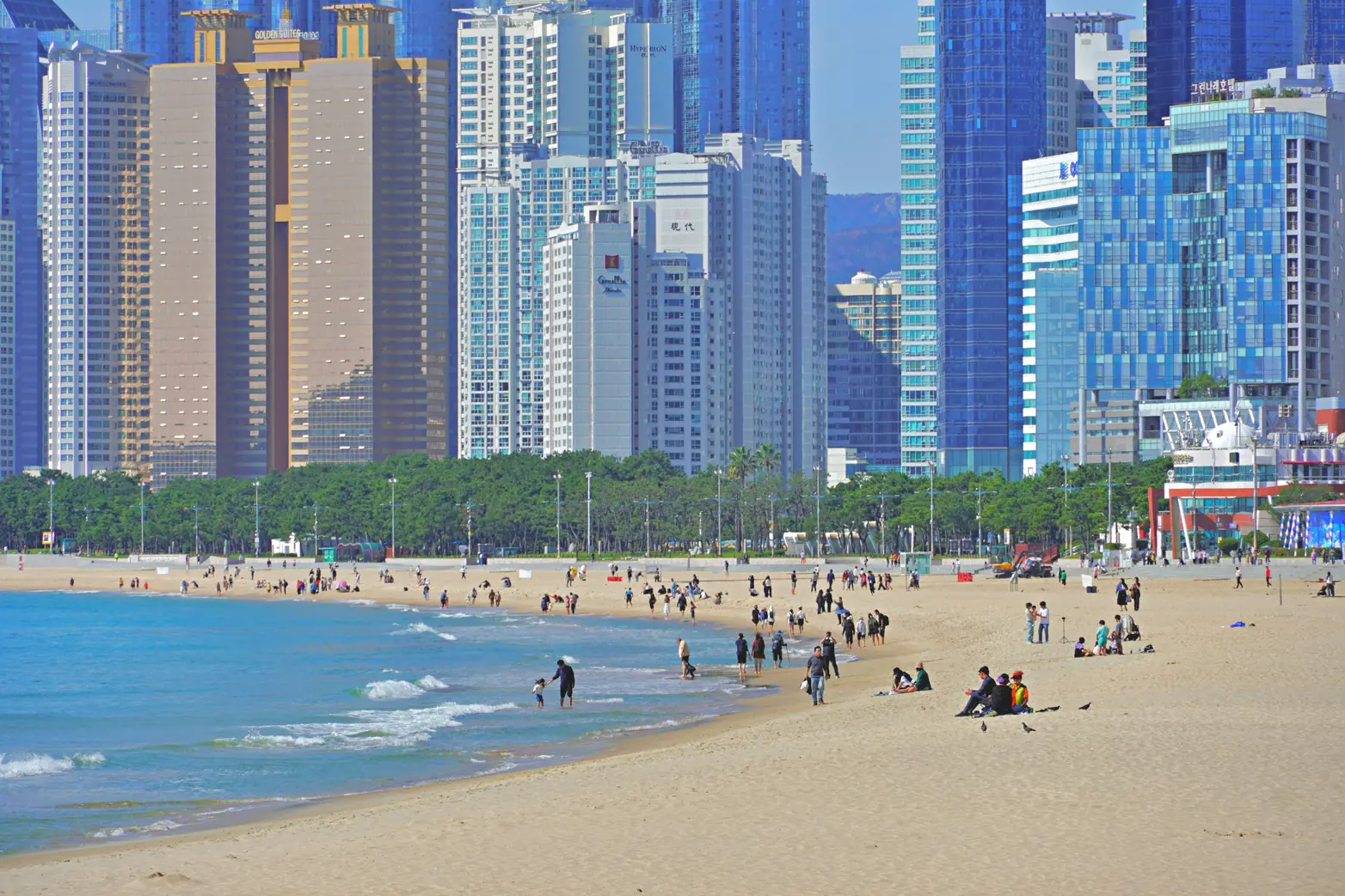 A wide sand beach with scattered visitors below a line of high-rise towers and still-green trees