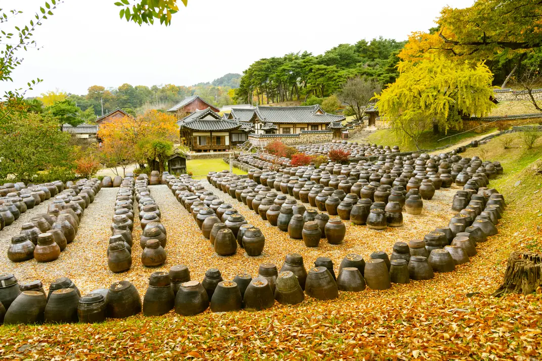 Hundreds of earthenware jars in rows on ground covered with fallen yellow leaves, tiled-roof buildings behind