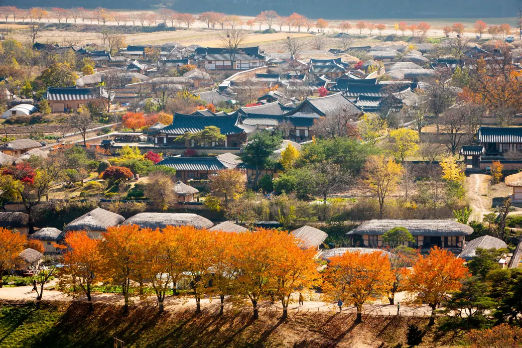 Thatched and tiled village roofs seen from above with orange and yellow trees among the houses
