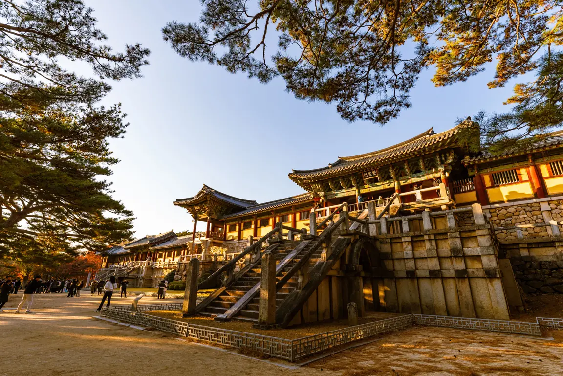 Stone stairways rising to a wooden hall, framed by overhanging pine branches